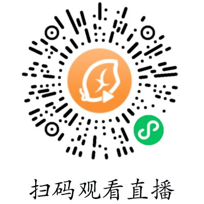 具象工業(yè)設計 以貼心服務與新穎款式點亮惠州戶外照明新篇章